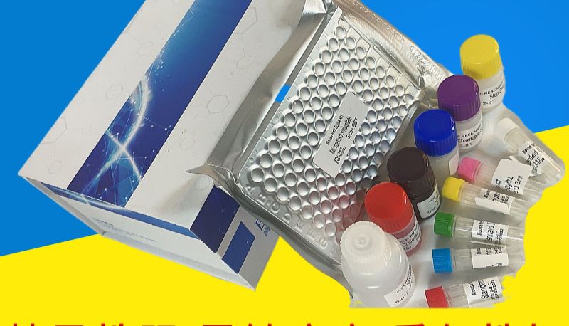 超敏ELISA与普通ELISA区别比对