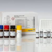 RIDASCREEN® Nitrofuran (AOZ) (硝基呋喃代谢物AOZ检测试剂盒)