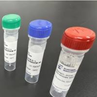 Anti-IL-1α / IL-1F1 Recombinant Mouse Monoclonal Capture Ab