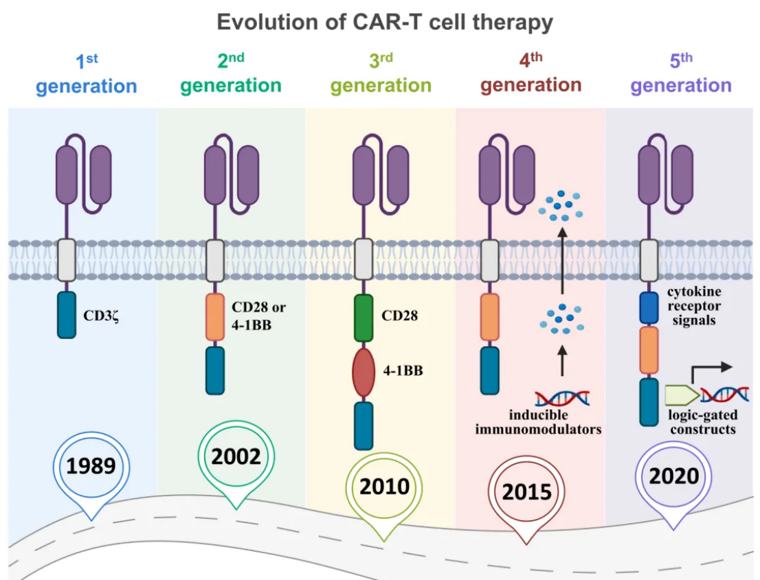 解码 CAR-T 的 “进化密码”：从机制突破到多领域临床转化的全景解析