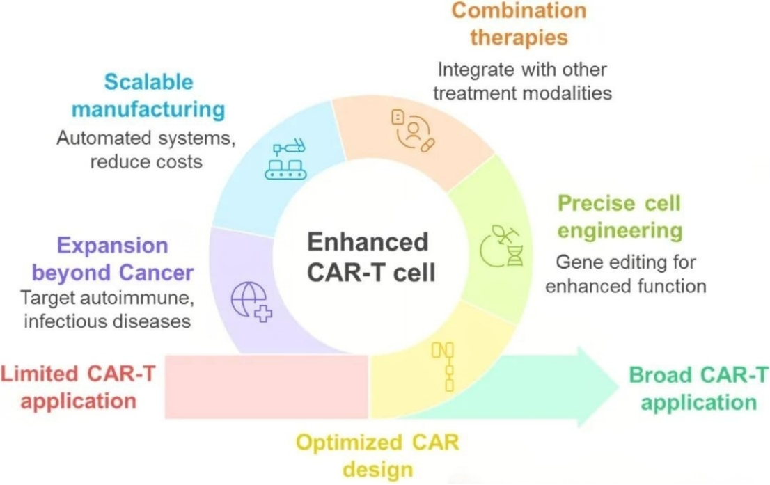 解码 CAR-T 的 “进化密码”：从机制突破到多领域临床转化的全景解析