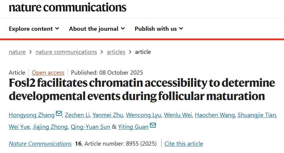 产品应用文章 | Fosl2通过促进染色质可及性调控卵泡成熟过程中的发育事件