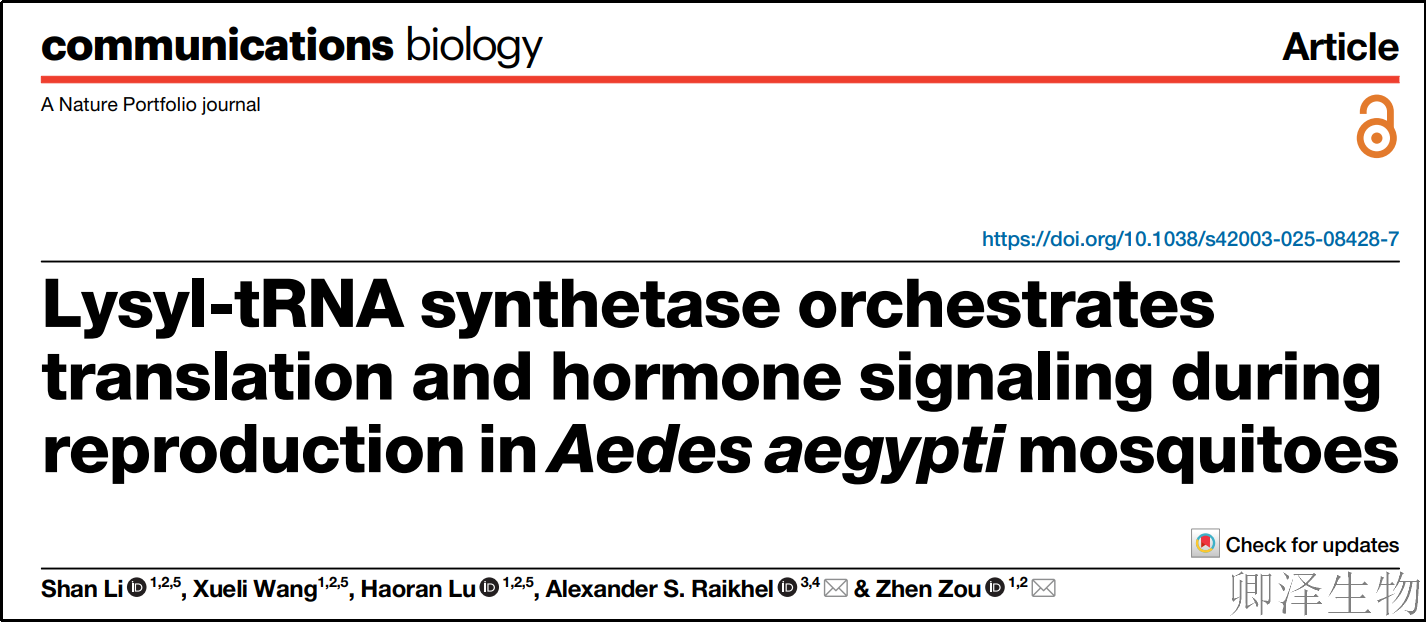 【蚊子繁殖的“翻译官”】 | ：赖氨酰-tRNA合成酶如何调控生育力？