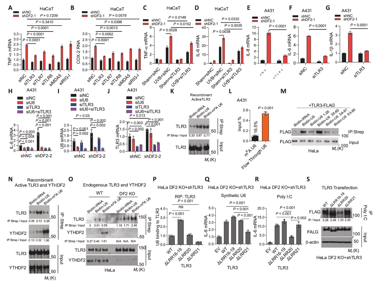 6389897460265514428249209
