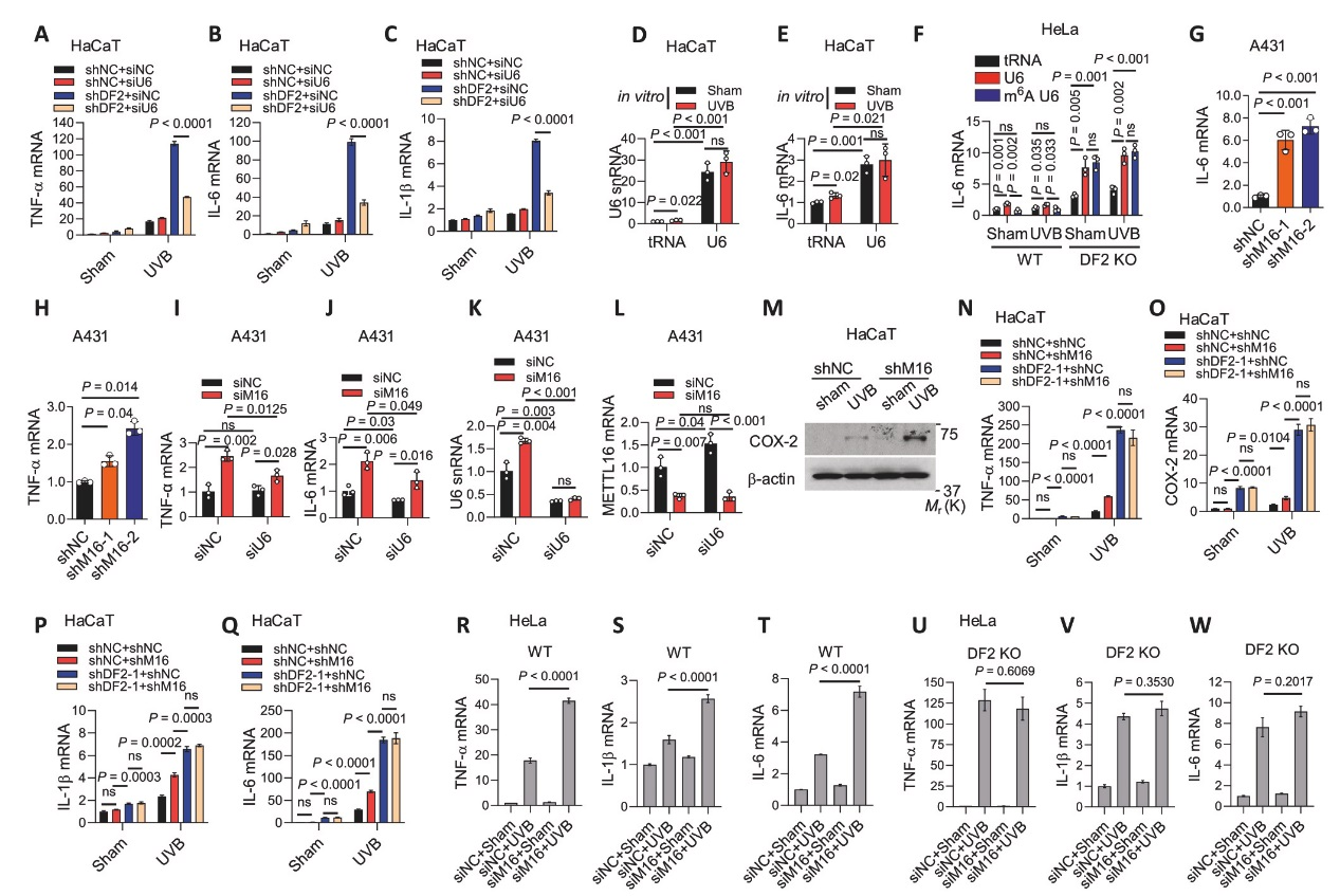 6389897457154080891547225