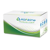 Fe3+试剂盒，用于样本中细胞总铁离子含量检测，Cell Total Iron Ion Content Assay Kit