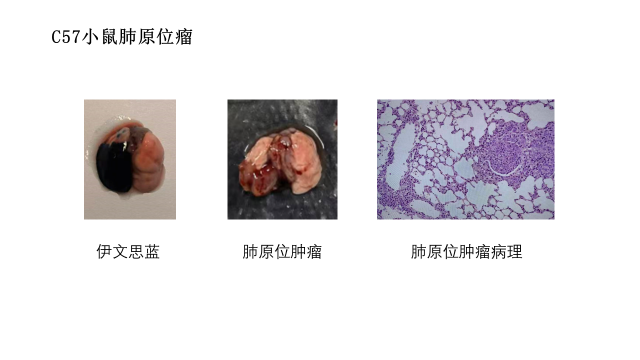 6389976488612756464563129