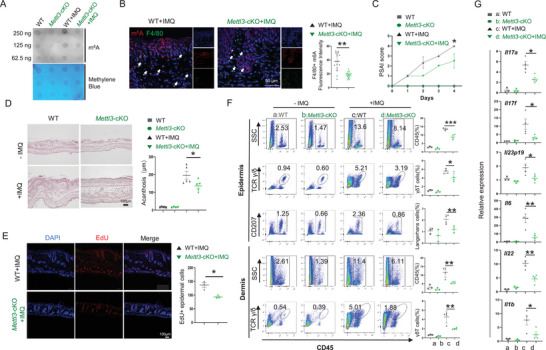 6389863967453984659545137