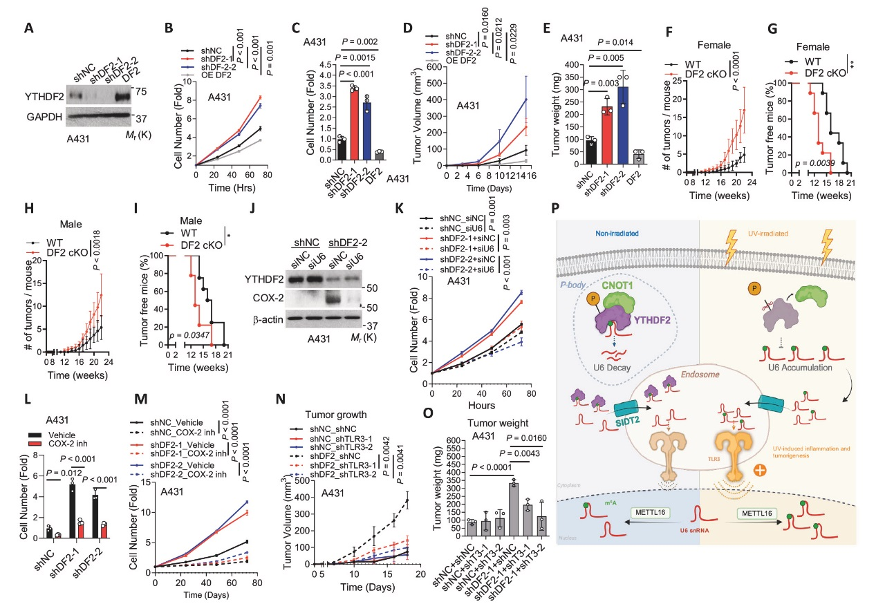 6389897468000666928137374