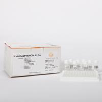 EuroProxima Chloramphenicol (氯霉素检测试剂盒)