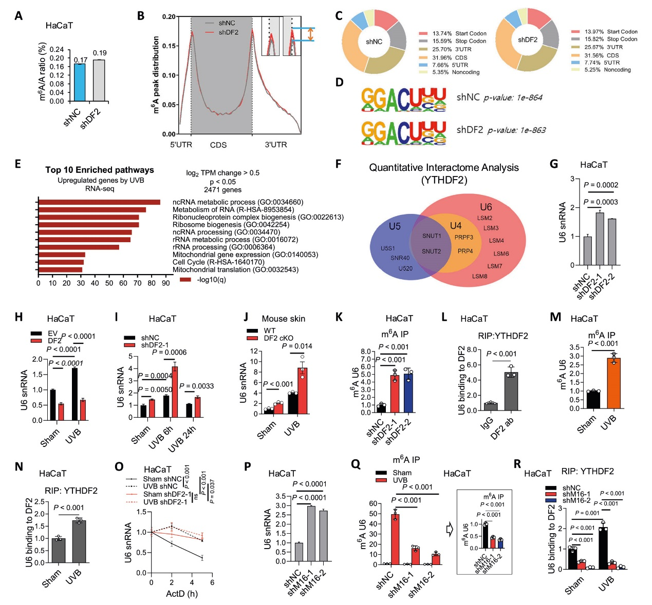 6389897454711833997888135
