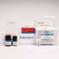 Elabscience ATP含量化学发光法检测试剂盒：0.003μmol/L 高灵敏度，赋能能量代谢研究！