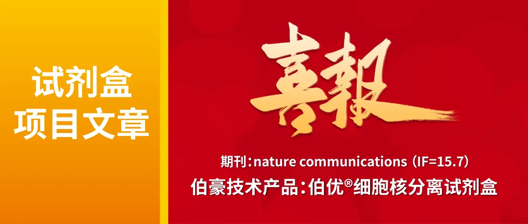 产品应用文章 | Fosl2通过促进染色质可及性调控卵泡成熟过程中的发育事件