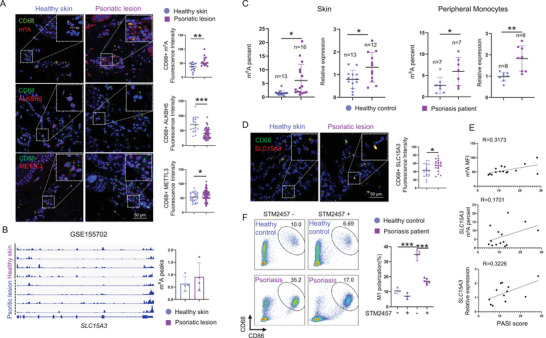6389863973743120041977679