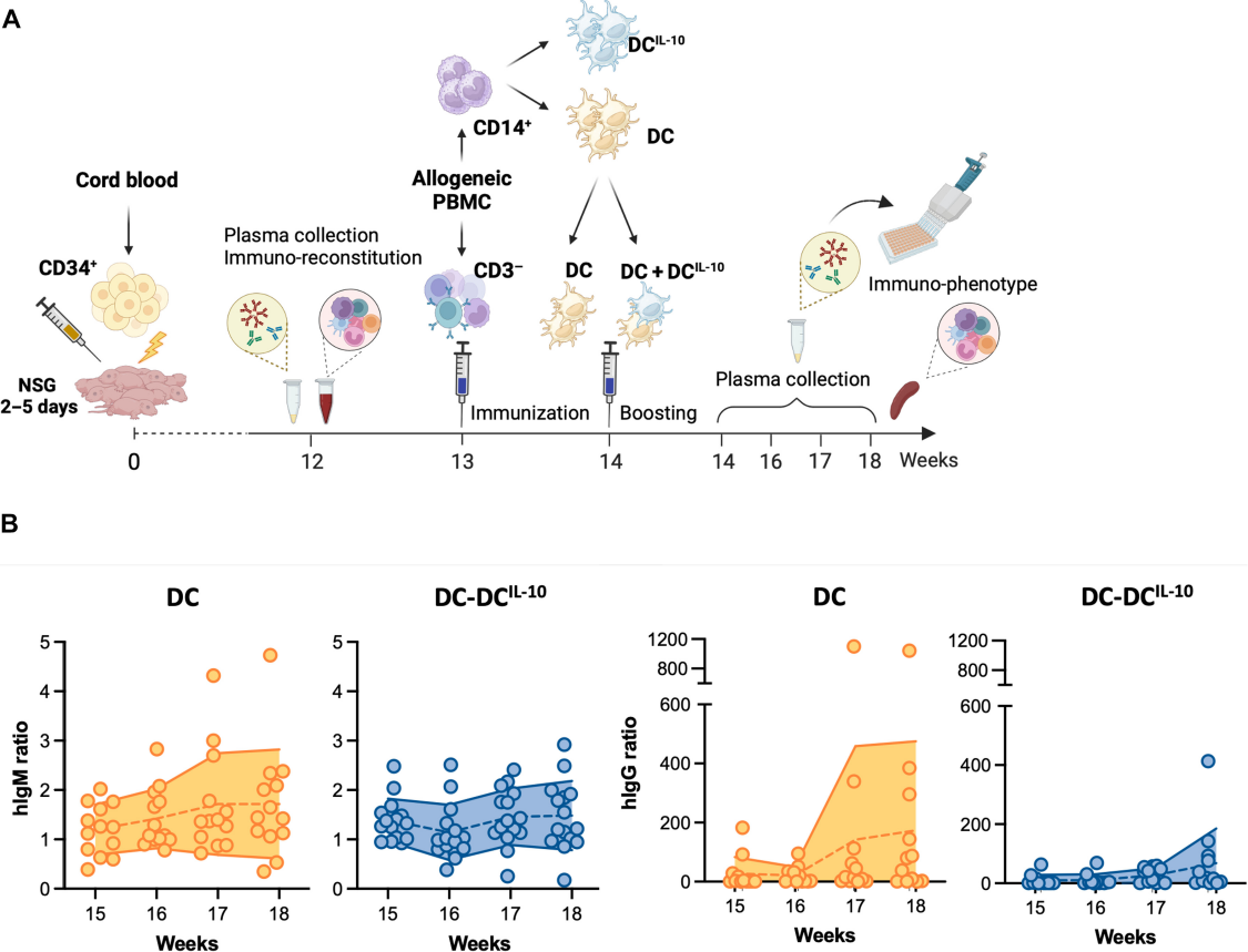6389957406072776478624561
