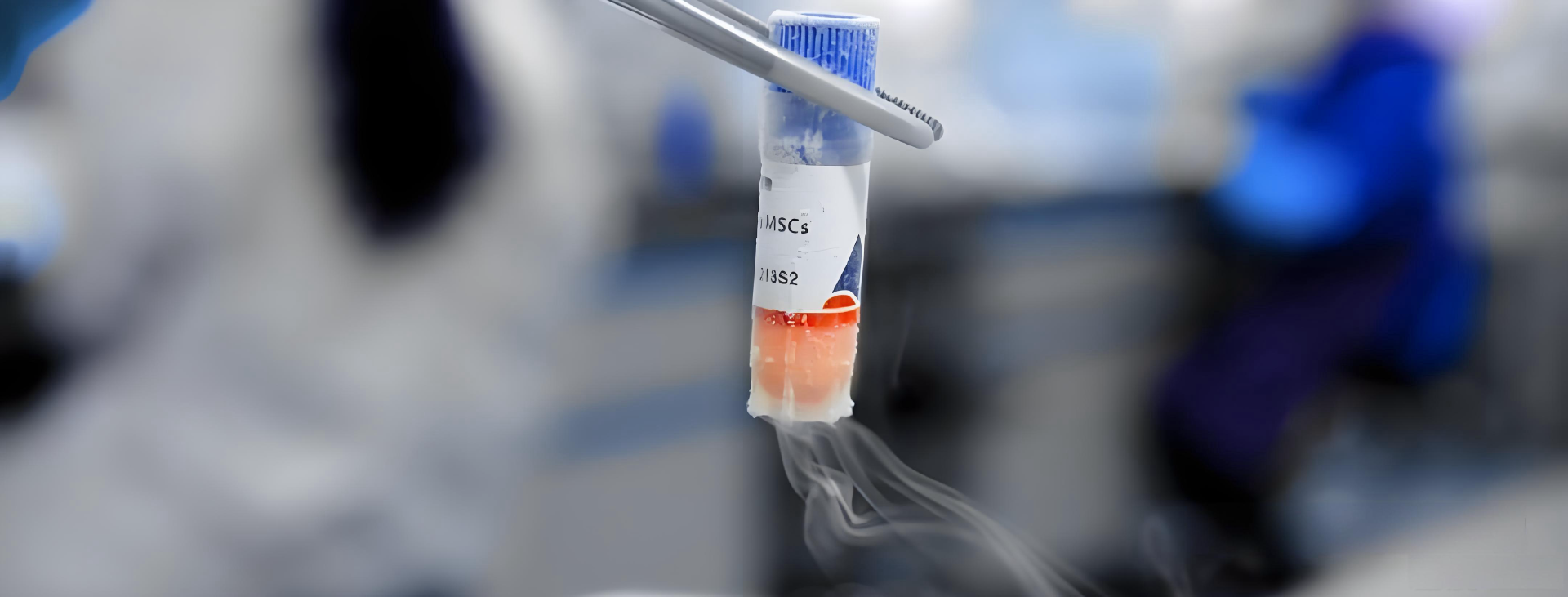 新买的稳转株，收到细胞当天，怎么处理?