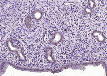 产品细节图片10