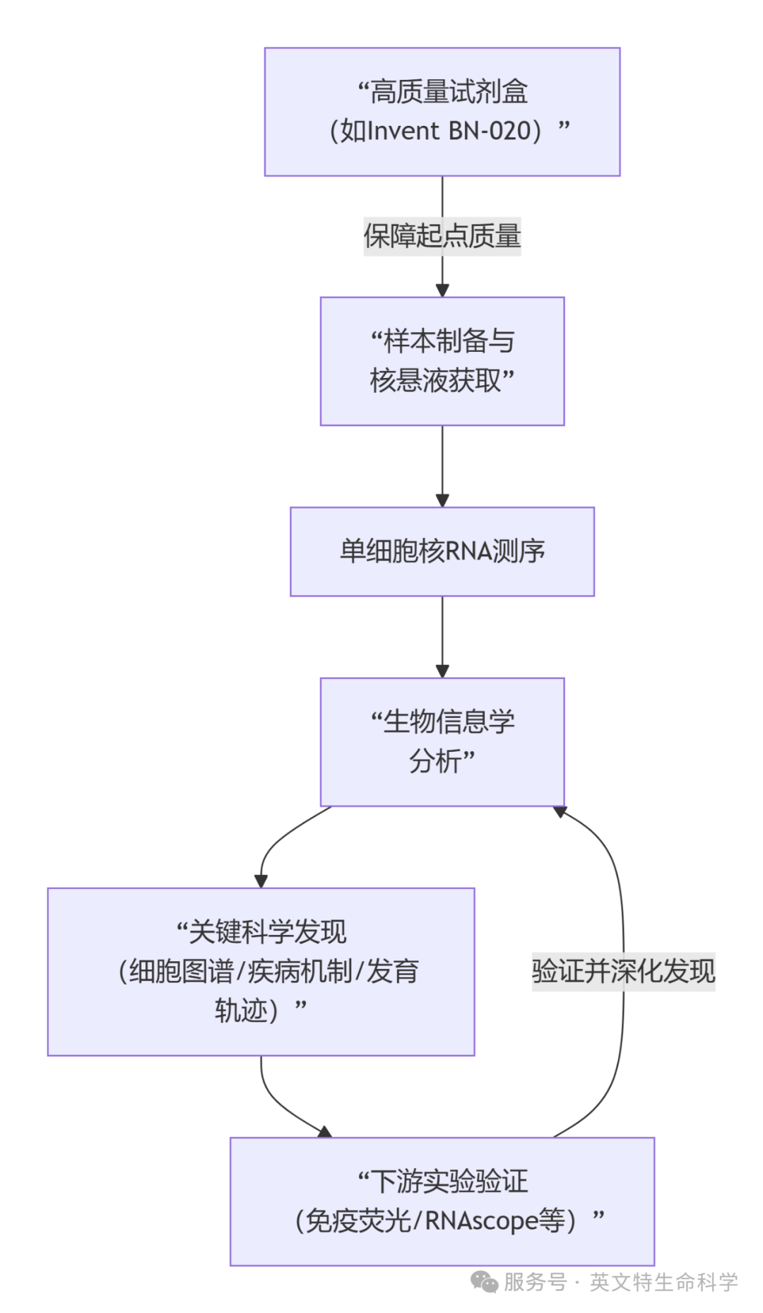 下一个突破在哪？单细胞核测序正在重塑脑科学！