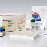 Gentamicin ELISA (庆大霉素酶联免疫检测试剂盒)