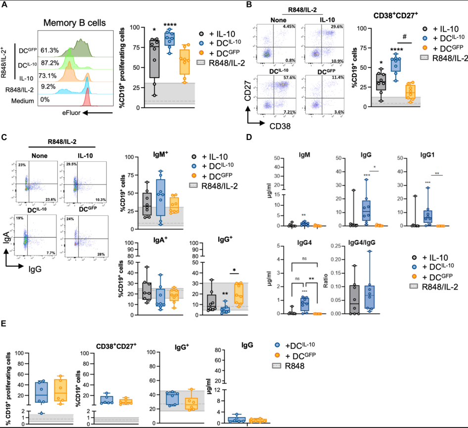 6389957400888885062724566