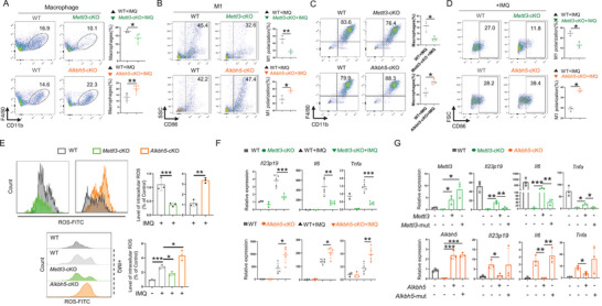6389863969329038819802690