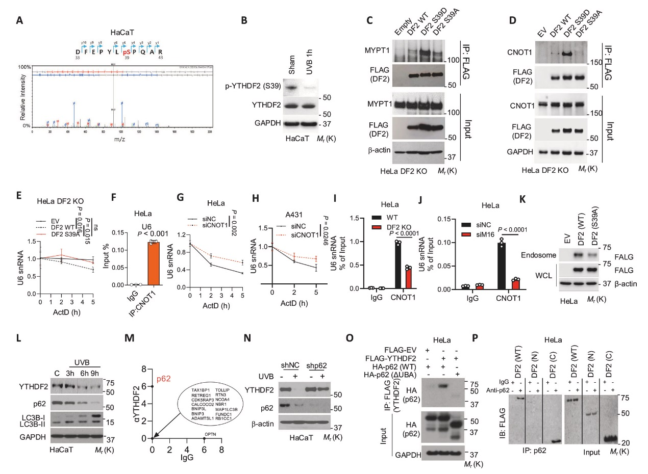 6389897465985107755327206