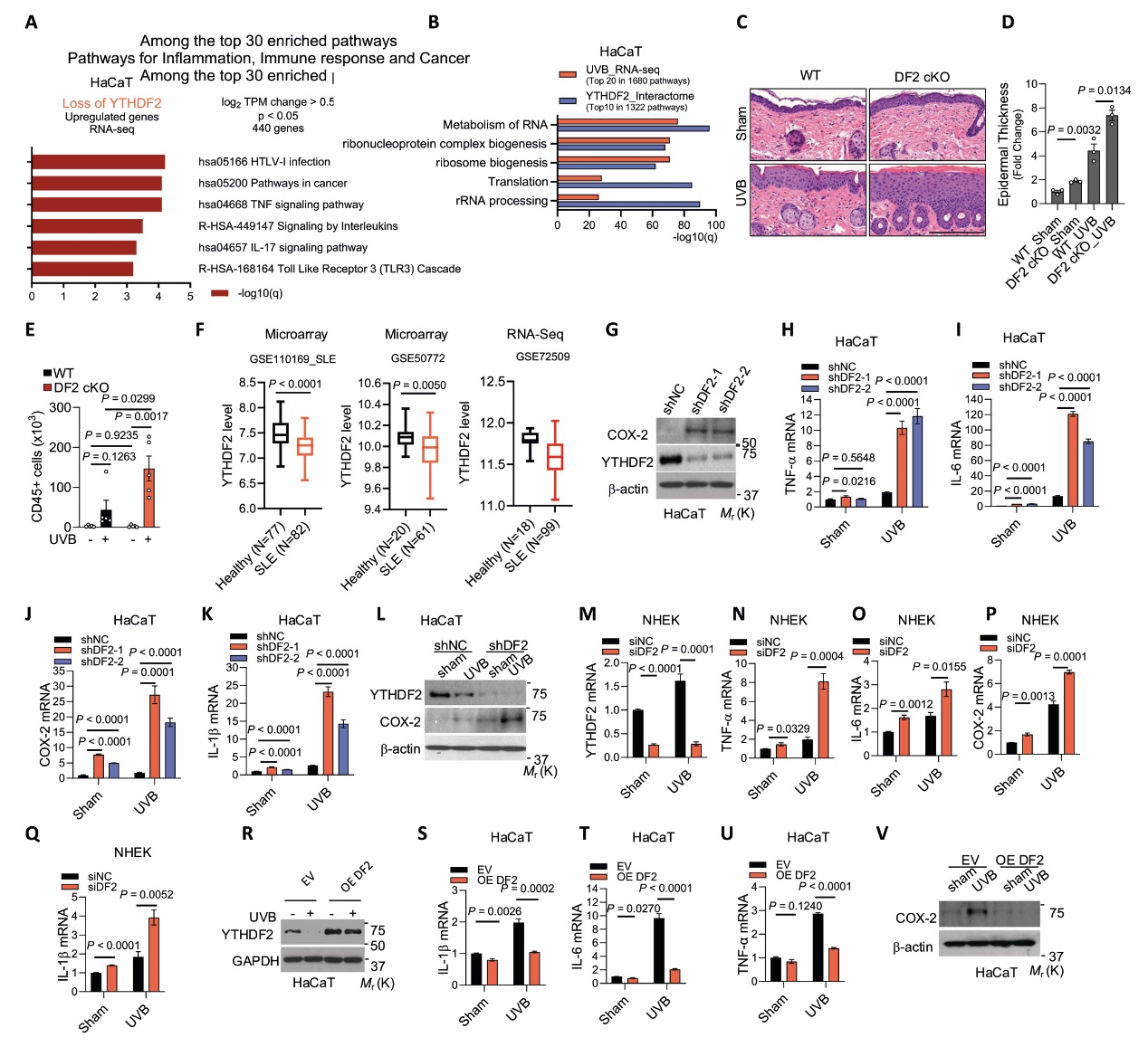 6389897449819736054036925