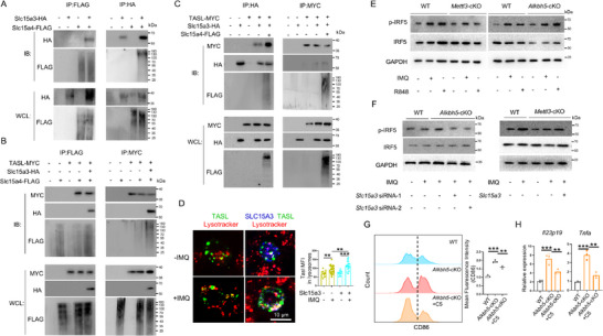 6389863972835303689954470