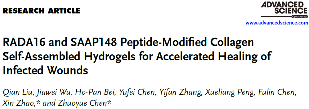 项目文章(IF=14.1) | 西北大学陈卓玥基于空间蛋白质组学阐释CRS水凝胶促进感染伤口愈合分子机制
