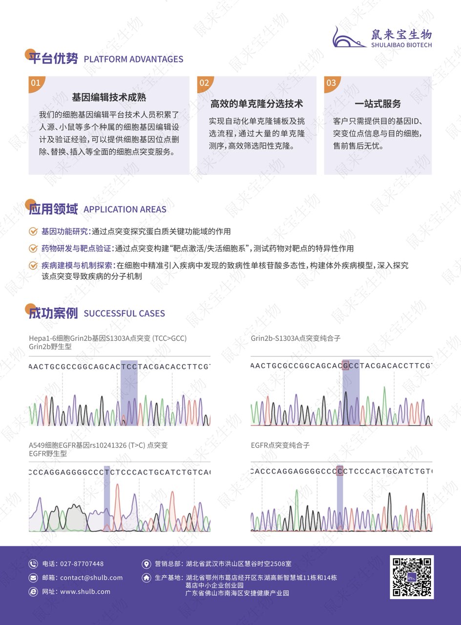 鼠来宝生物点突变细胞构建定制服务