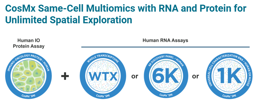 WTX领航多组学融合：SMI单细胞空间全转录组+SMI空间蛋白共检