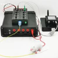 小动物心内电生理系统