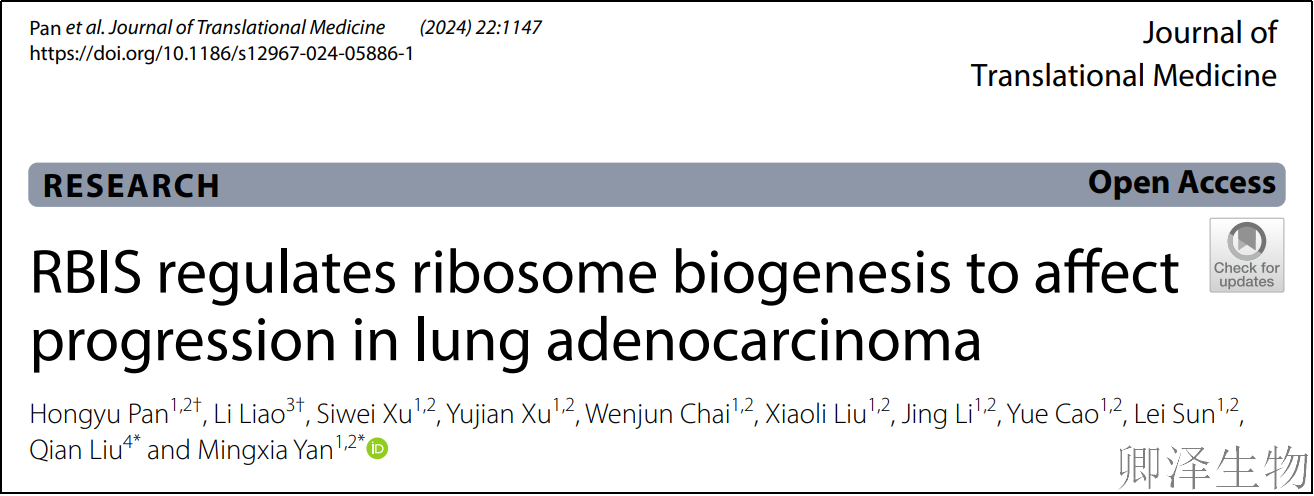 【客户案例重温】RBIS如何通过调控核糖体合成驱动肺癌进展与化疗耐药