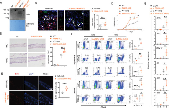 6389863968364974983915346