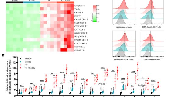 【IF 14.1】双抗联合放疗突破肿瘤治疗瓶颈！冷肿瘤 “热转化” 与远隔效应研究