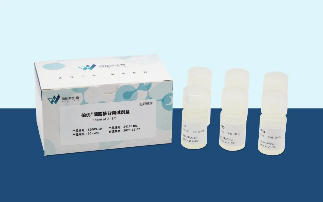 产品应用文章 | Fosl2通过促进染色质可及性调控卵泡成熟过程中的发育事件