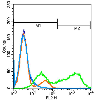 DcR2 Rabbit Polyclonal Antibod