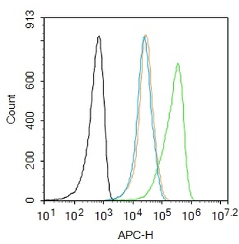 Phospho-PRKCB (Thr642) Rabbit 
