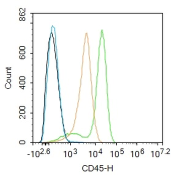 CD45 Rabbit Polyclonal Antibod