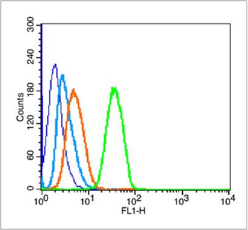 Mutant p53 (N235K, N239Y) Rabb