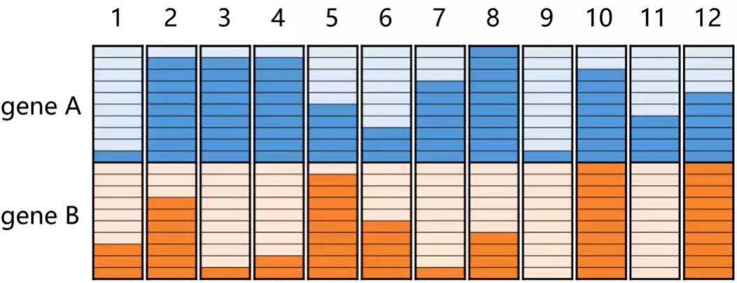 单细胞拟时序分析：解码细胞分化的时间密码