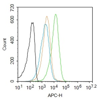 UBE2Q1 Rabbit Polyclonal Antib