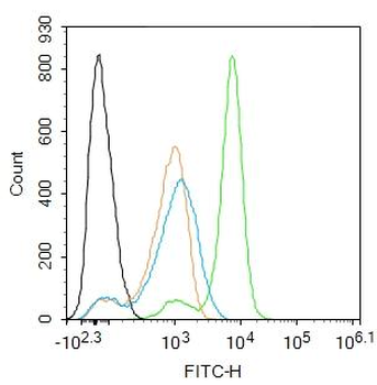 MT2A Rabbit Polyclonal Antibod