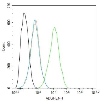 ADGRE1 Rabbit Polyclonal Antib