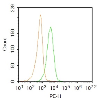 CD45 Rabbit Polyclonal Antibod