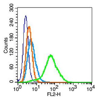 Phospho-PTPN6 (Ser591) Rabbit 