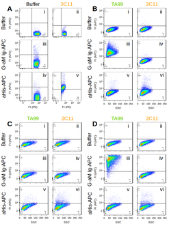 Anti-CD3 epsilon [145-2C11]抗体，
