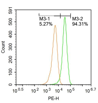 CDK6 Rabbit Polyclonal Antibod