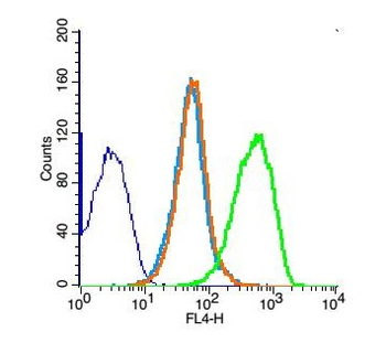 UBE2Q1 Rabbit Polyclonal Antib