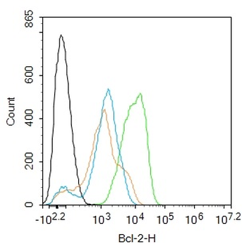Bcl-2 Recombinant Rabbit Monoc